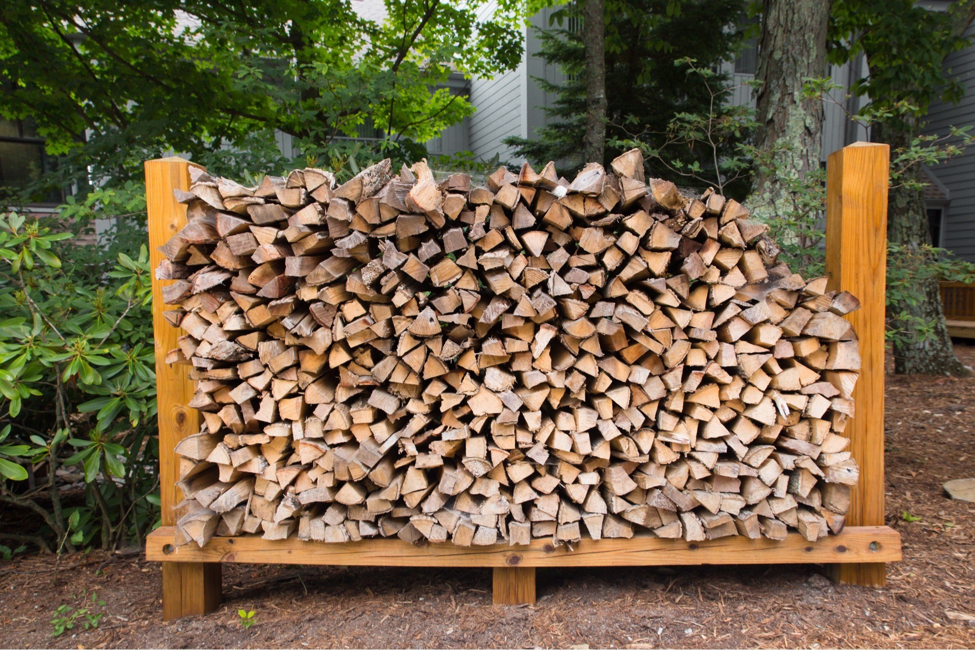 Make Sure Firewood Is Stored Outside Off The Ground