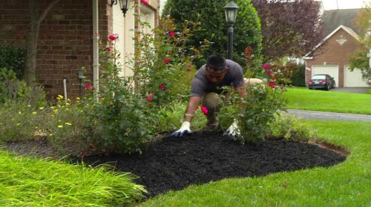 Applying Mulch Give Your Garden Love